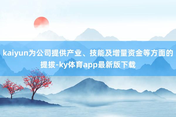 kaiyun為公司提供產業、技能及增量資金等方面的提拔-ky體育app最新版下載