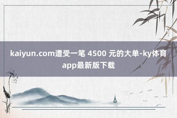 kaiyun.com遭受一筆 4500 元的大單-ky體育app最新版下載